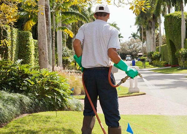 About Lawrenceville NY Pest Control
